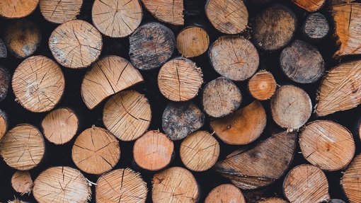 Brennholz gestapelte Holzstämme