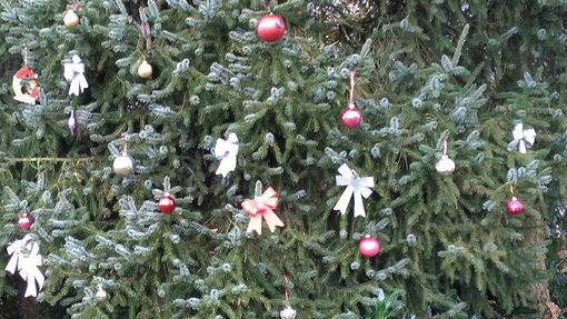 geschmückter Tannenbaum auf dem Hoferkopf