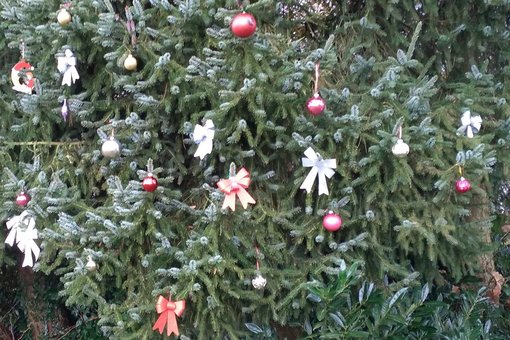 geschmückter Tannenbaum auf dem Hoferkopf