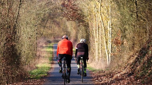 Auf dem Foto sind 2 Fahrradfahrer im Wald zu sehen