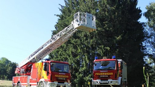 Feuerwehr Friedrichsthal Zwei Feuerwehr-Autos, eins mit Drehleiter, vor einem großen Baum